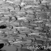 barracuda_blackfin_er_h_0705_png1111.jpg